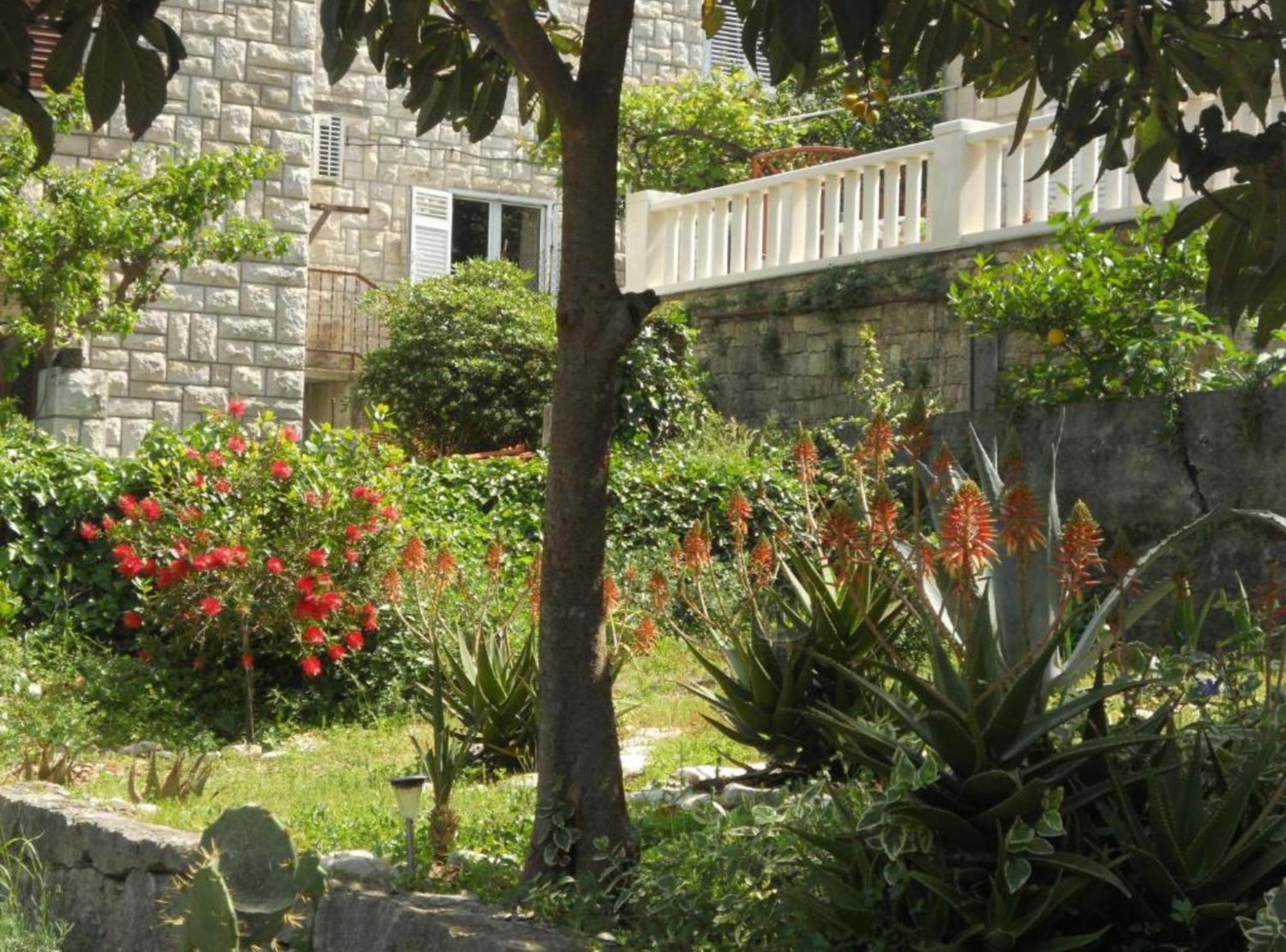Apartment Plaza Korčula Buitenkant foto